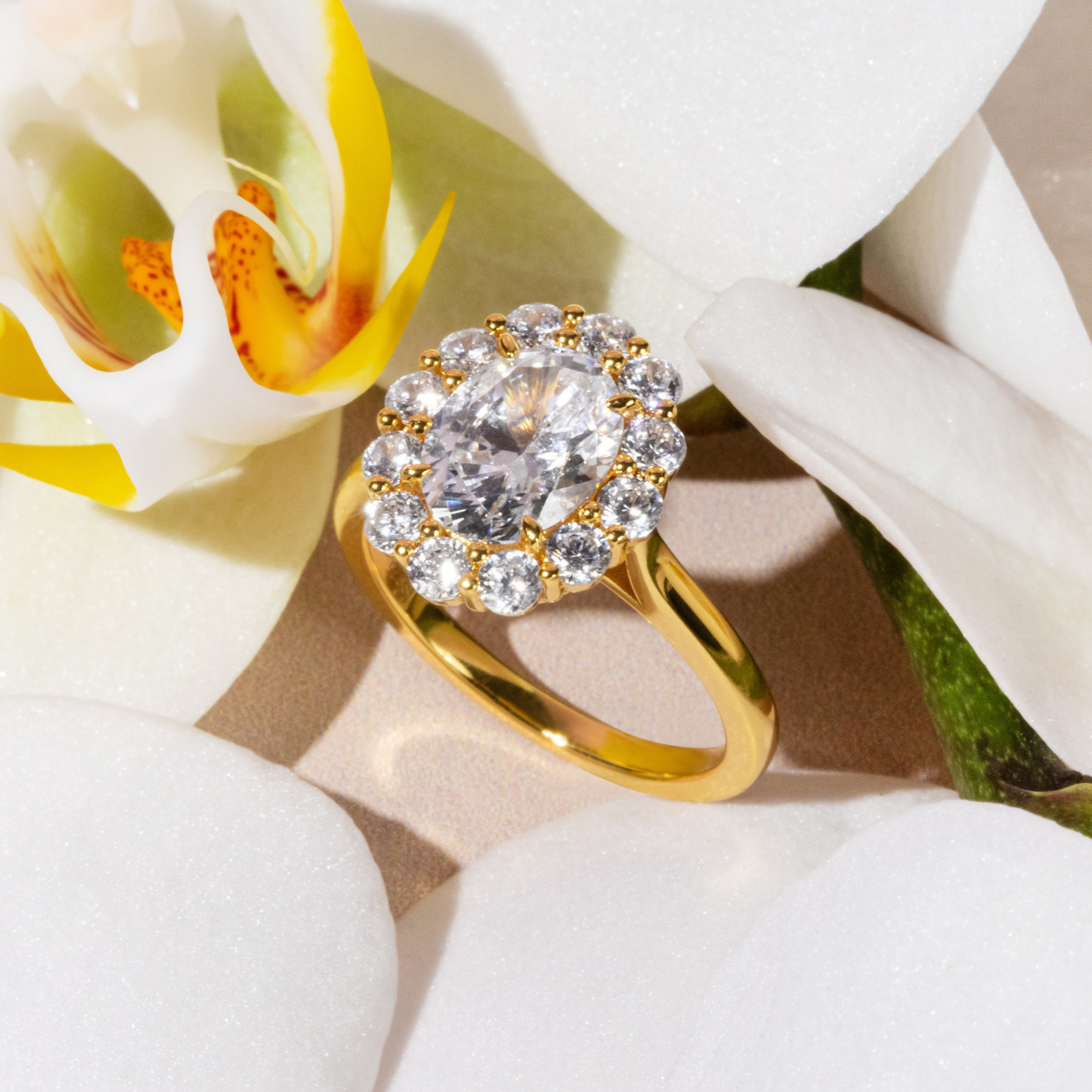 Promise Oval Halo Ring