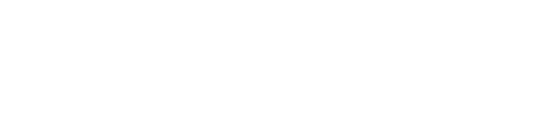 The Promise Lab logo white